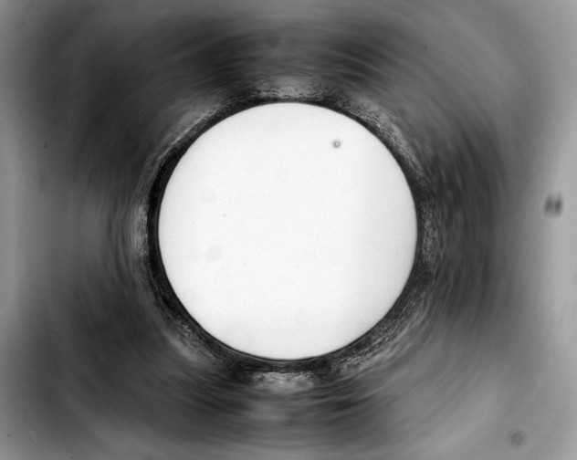 X0000103430251200810101049