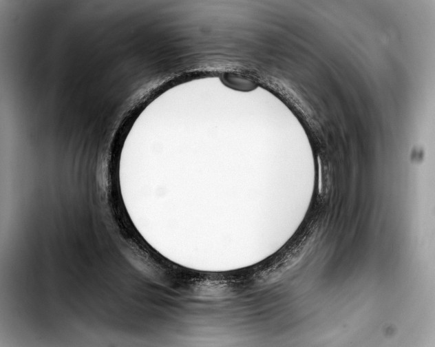 X0000103430252200810101049