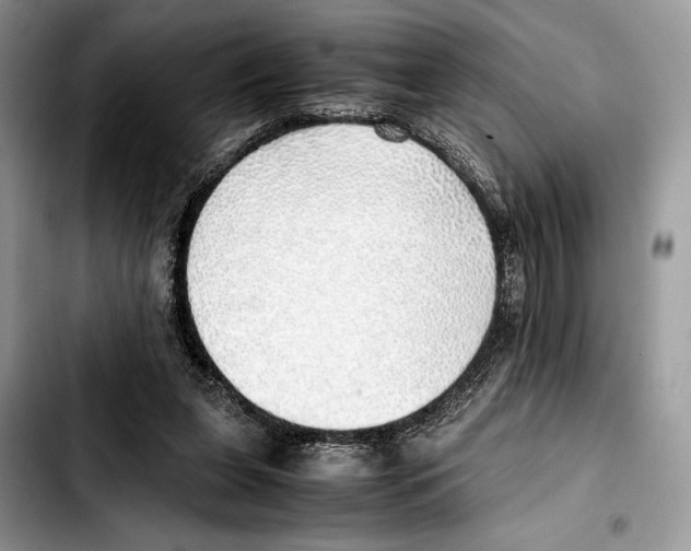 X0000103430255200810101049