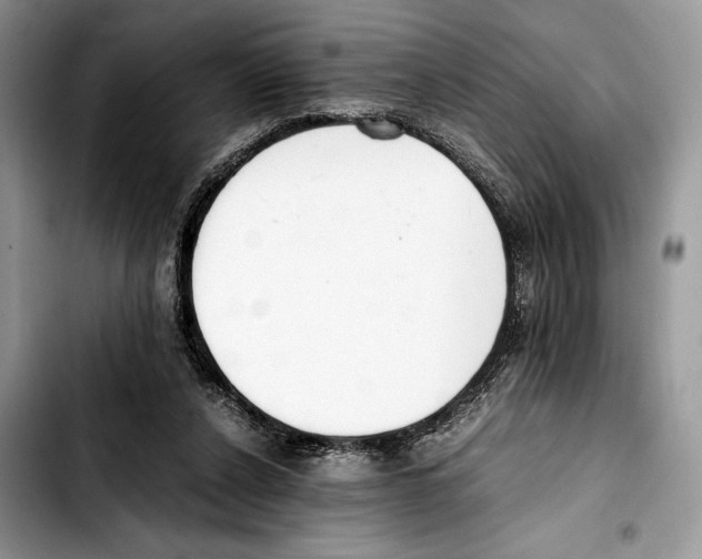 X0000103430256200810101049