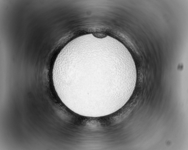 X0000103430258200810101049