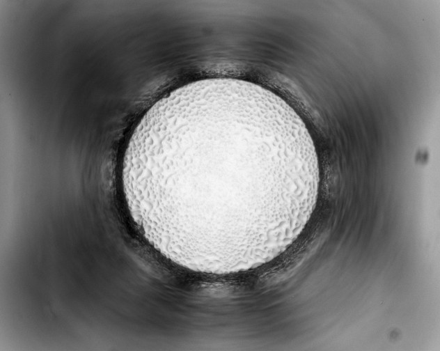 X0000103430259200810101049
