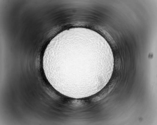 X0000103430261200810101049