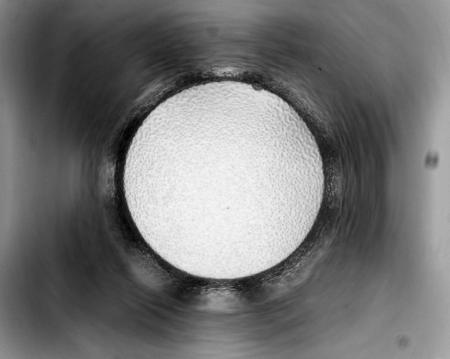 X0000103430262200810101049