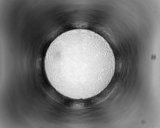 X0000103430263200810101049