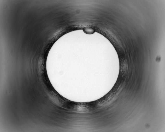 X0000103430264200810101049