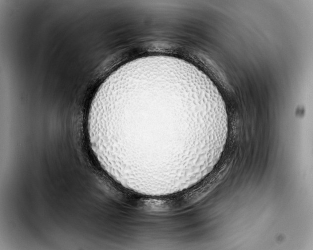 X0000103430265200810101049