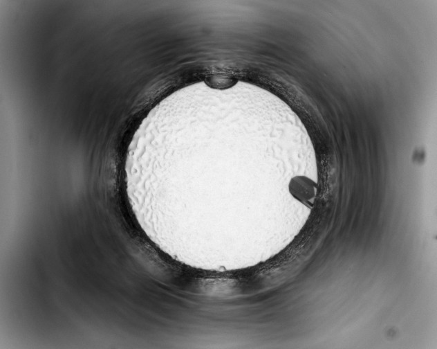 X0000103430266200810101049