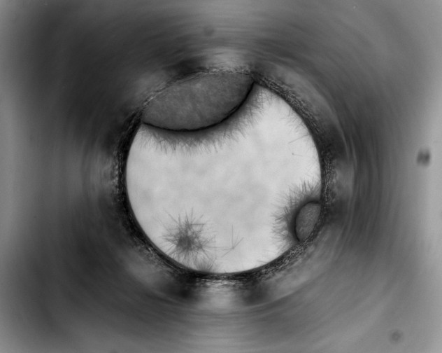 X0000103430268200810101049