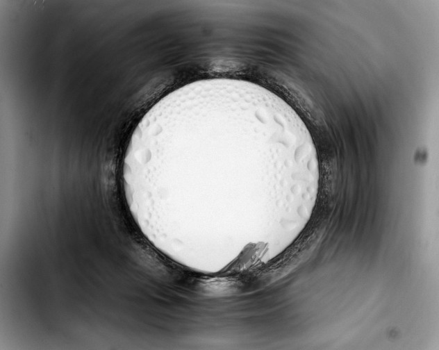 X0000103430269200810101049