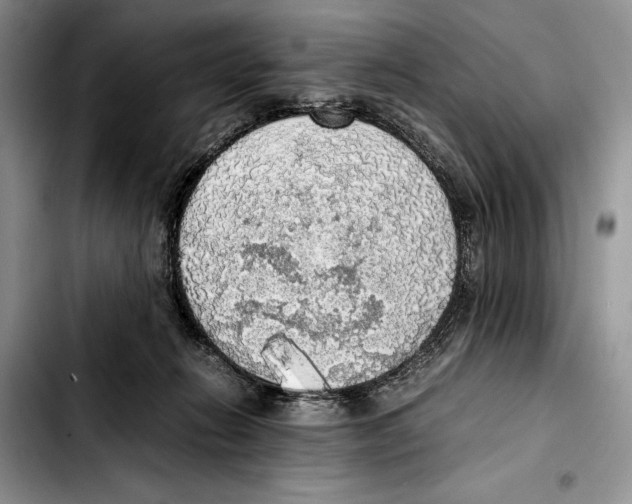 X0000103430270200810101049