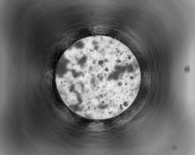 X0000103430271200810101049