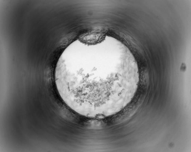 X0000103430272200810101049