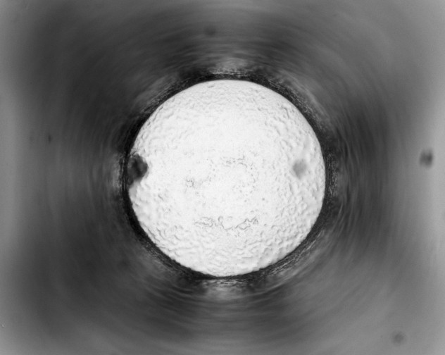 X0000103430273200810101049