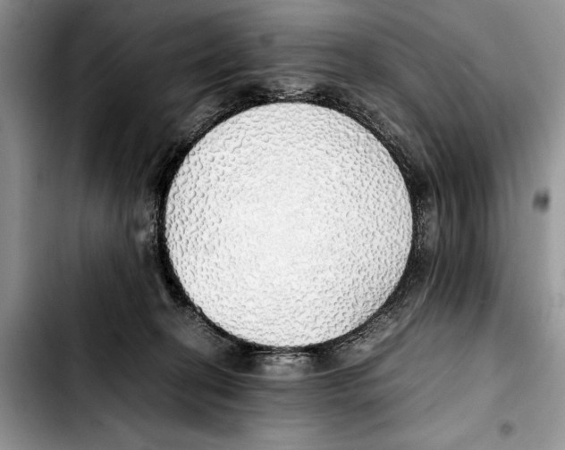 X0000103430274200810101049