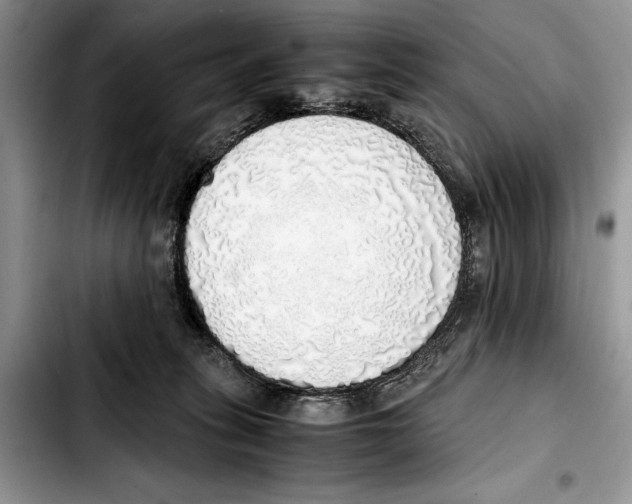 X0000103430275200810101049
