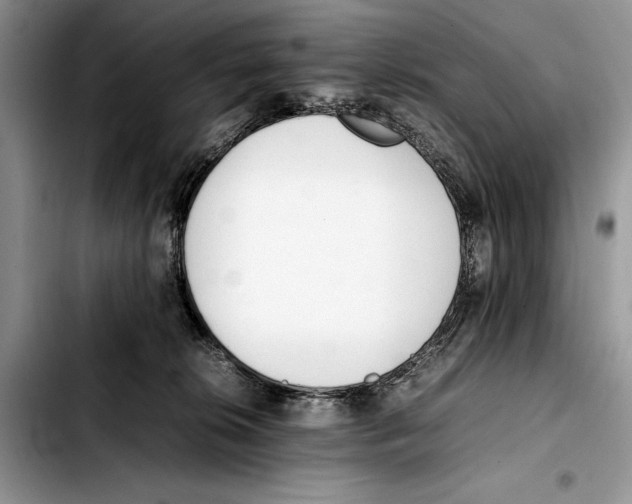 X0000103430276200810101049