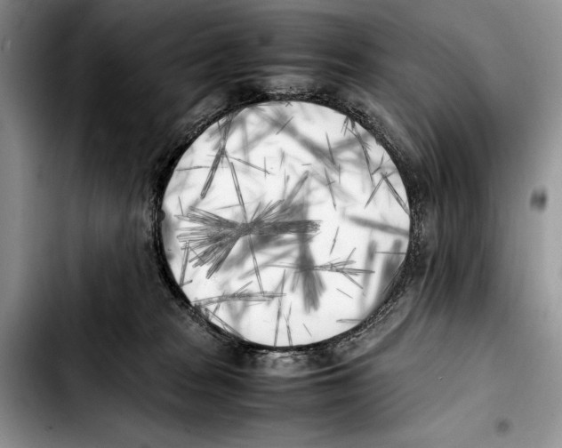 X0000103430277200810101049