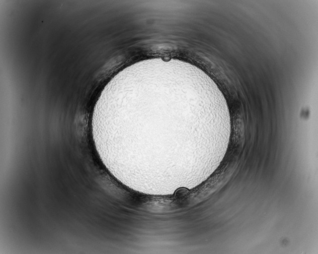 X0000103430278200810101049
