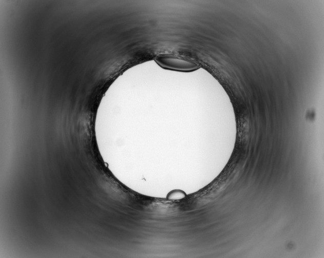 X0000103430280200810101049