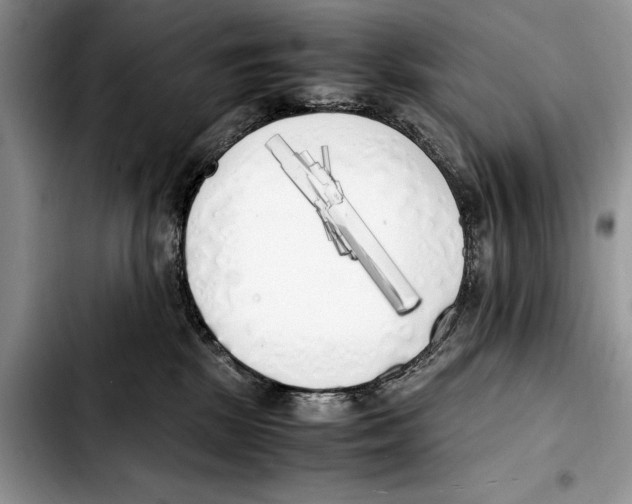 X0000103430281200810101049