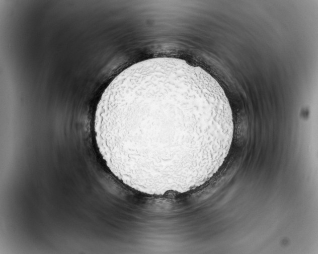 X0000103430282200810101049