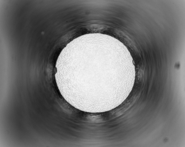 X0000103430283200810101049