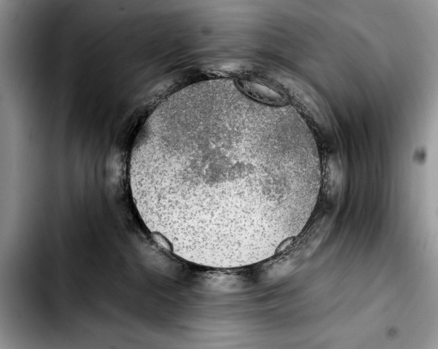 X0000103430284200810101049