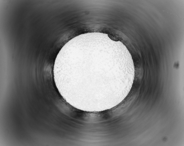 X0000103430286200810101049