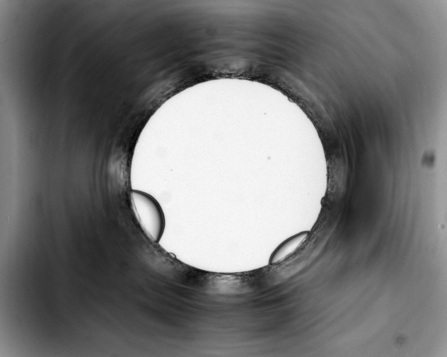 X0000103430287200810101049