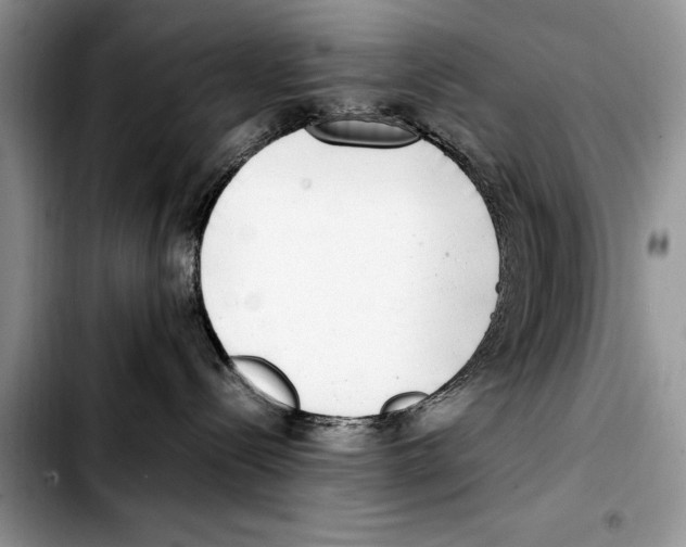 X0000103430288200810101049