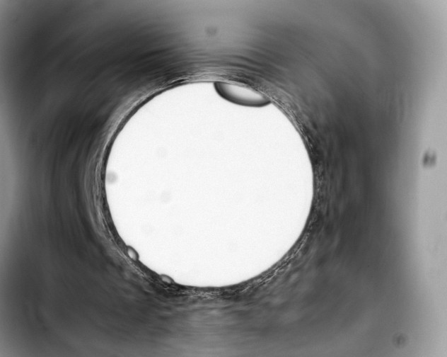 X0000103430289200810101048