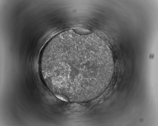 X0000103430290200810101048