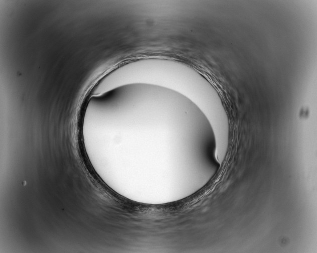 X0000103430293200810101048