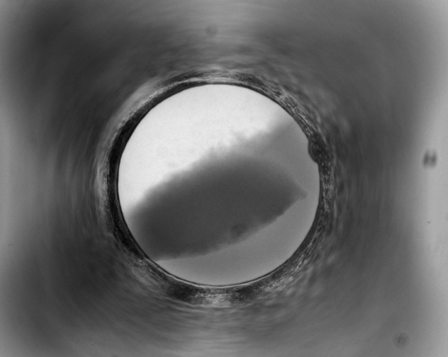 X0000103430295200810101048