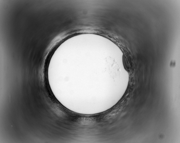 X0000103430296200810101048