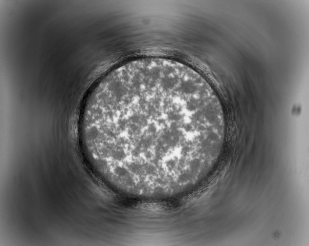 X0000103430299200810101048