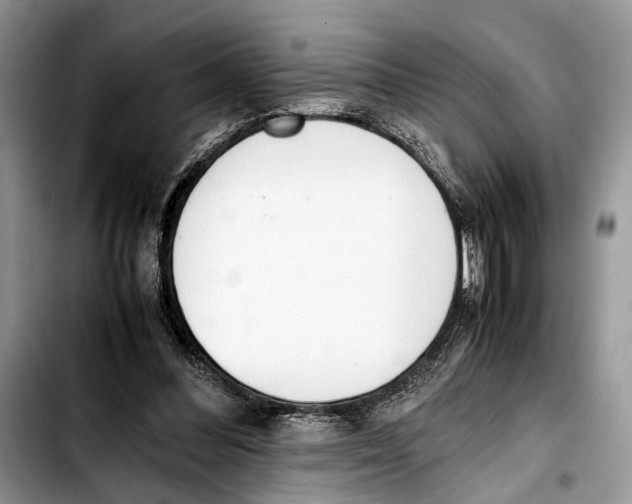 X0000103430300200810101048