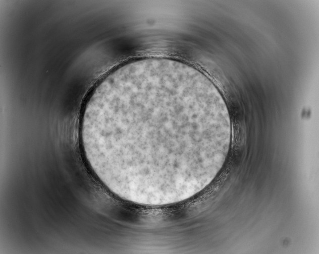 X0000103430301200810101048