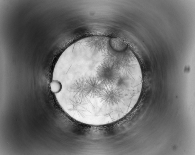 X0000103430305200810101048