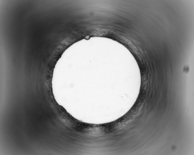 X0000103430307200810101048