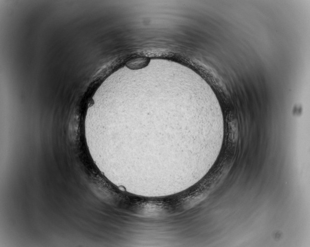 X0000103430308200810101048