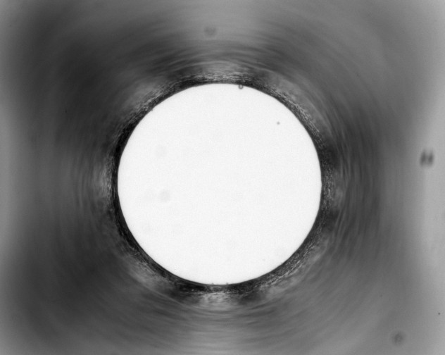X0000103430309200810101048
