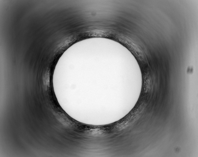 X0000103430310200810101048