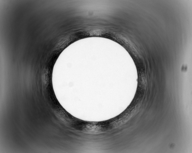 X0000103430311200810101048