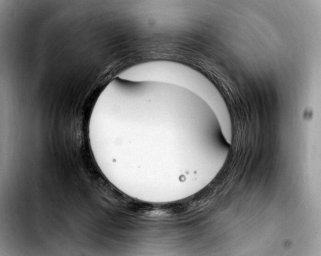 X0000103430312200810101048