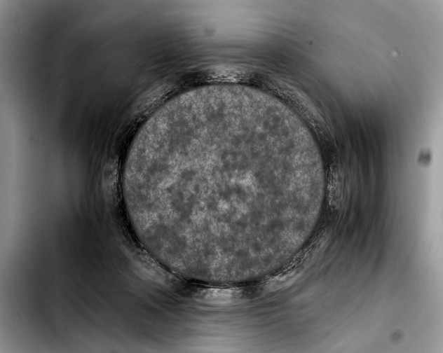 X0000103430314200810101048