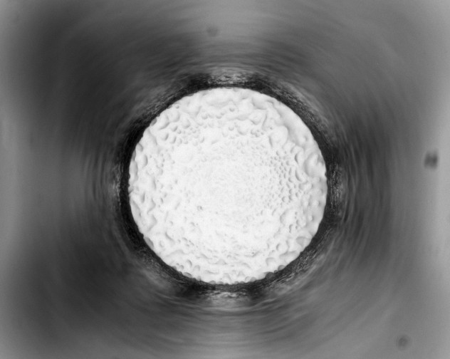 X0000103430315200810101048