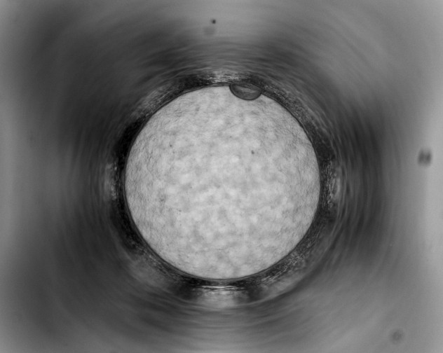 X0000103430316200810101048