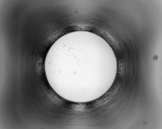 X0000103430318200810101048